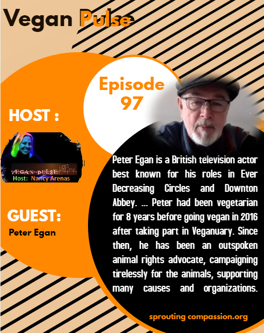 vp ep97 flyer p egan