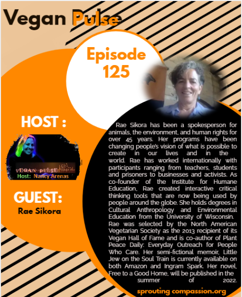 vp ep 125 rae s
