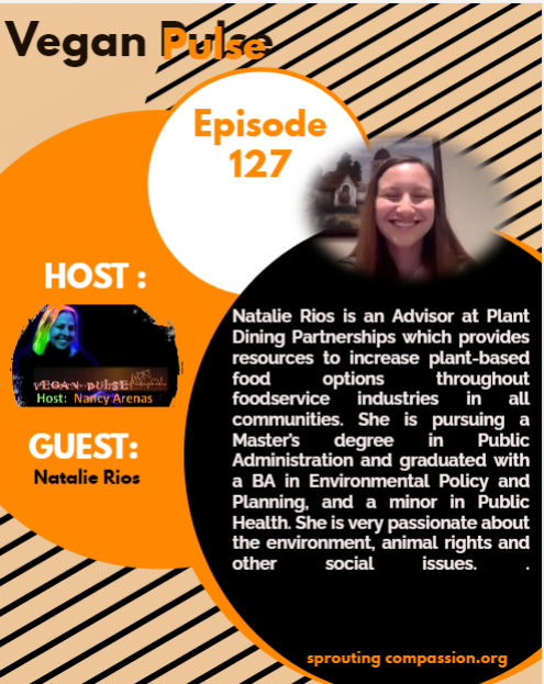 vp ep 127 flyer n rios