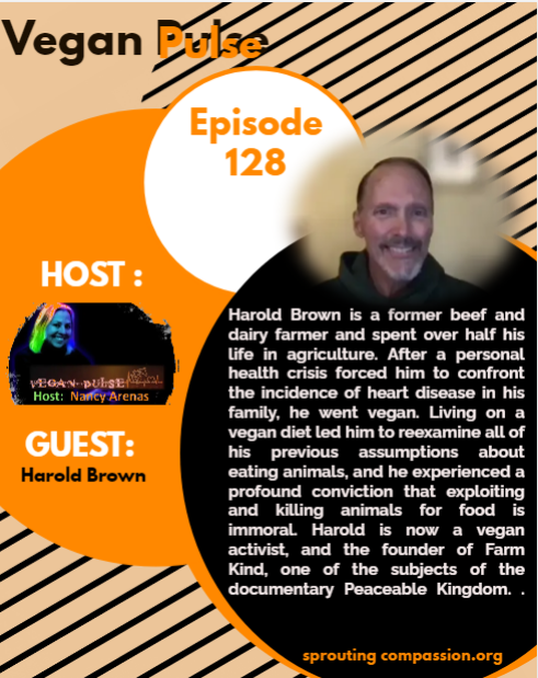 vp ep 128 h brown flyer