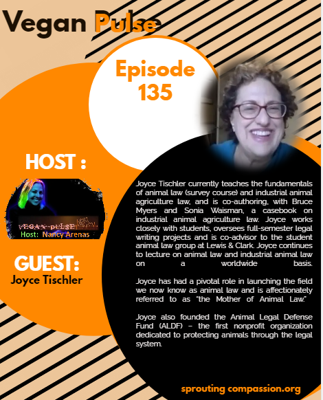 vp ep 135 flyer j tischler