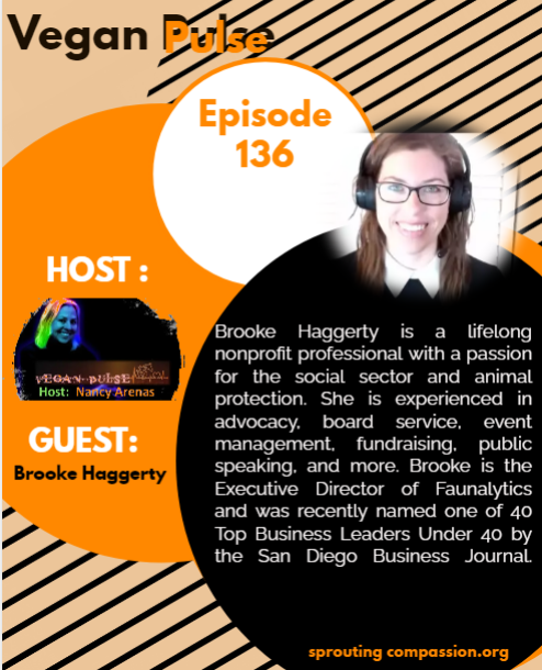 vp ep 136 b haggerty