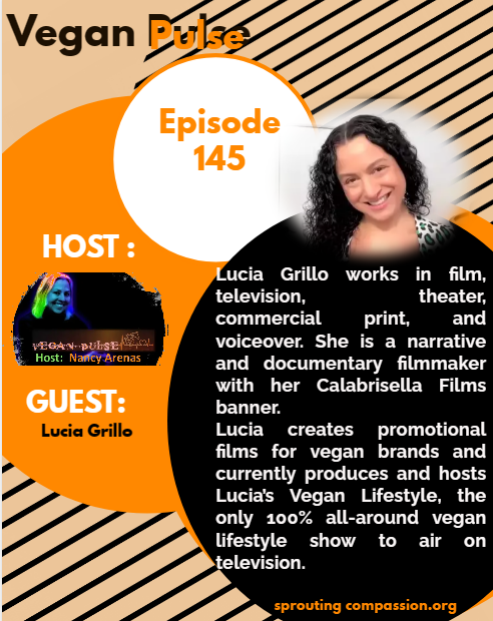 vp ep 145 l grillo flyer