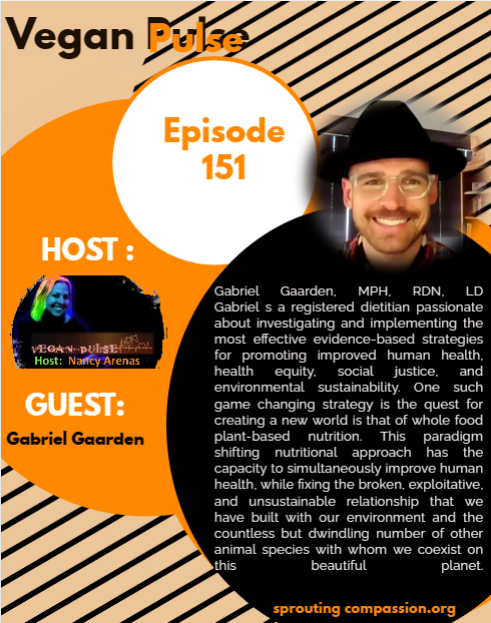 vp ep 151 g gaarden flyer