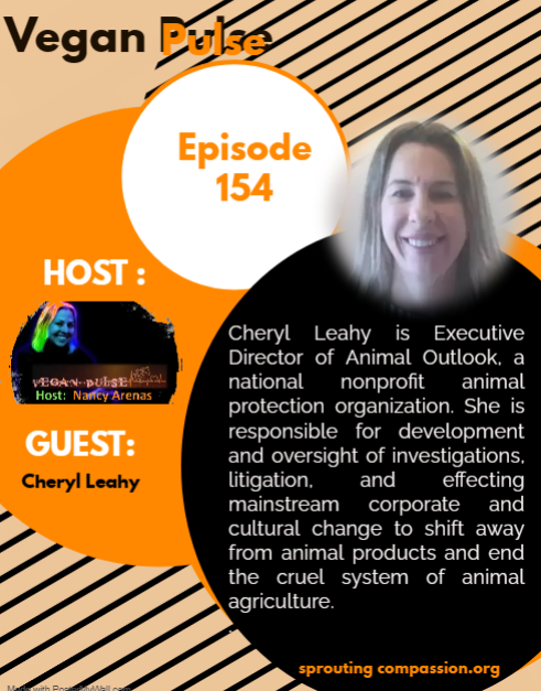 vp ep 154 c leahy flyer